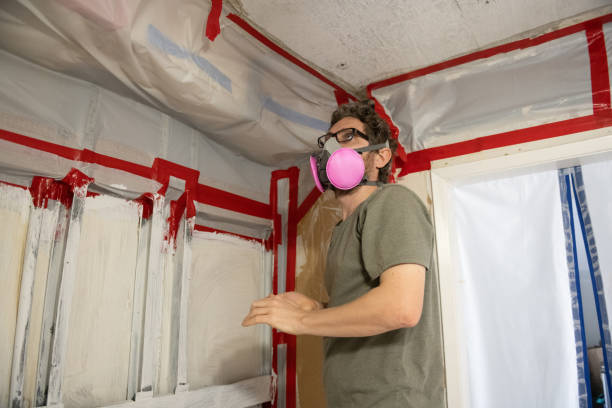 Professional Mold Inspection, Removal & Remediation in Smithville, MO