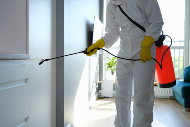 Mold Remediation for Rental Properties in Smithville, MO